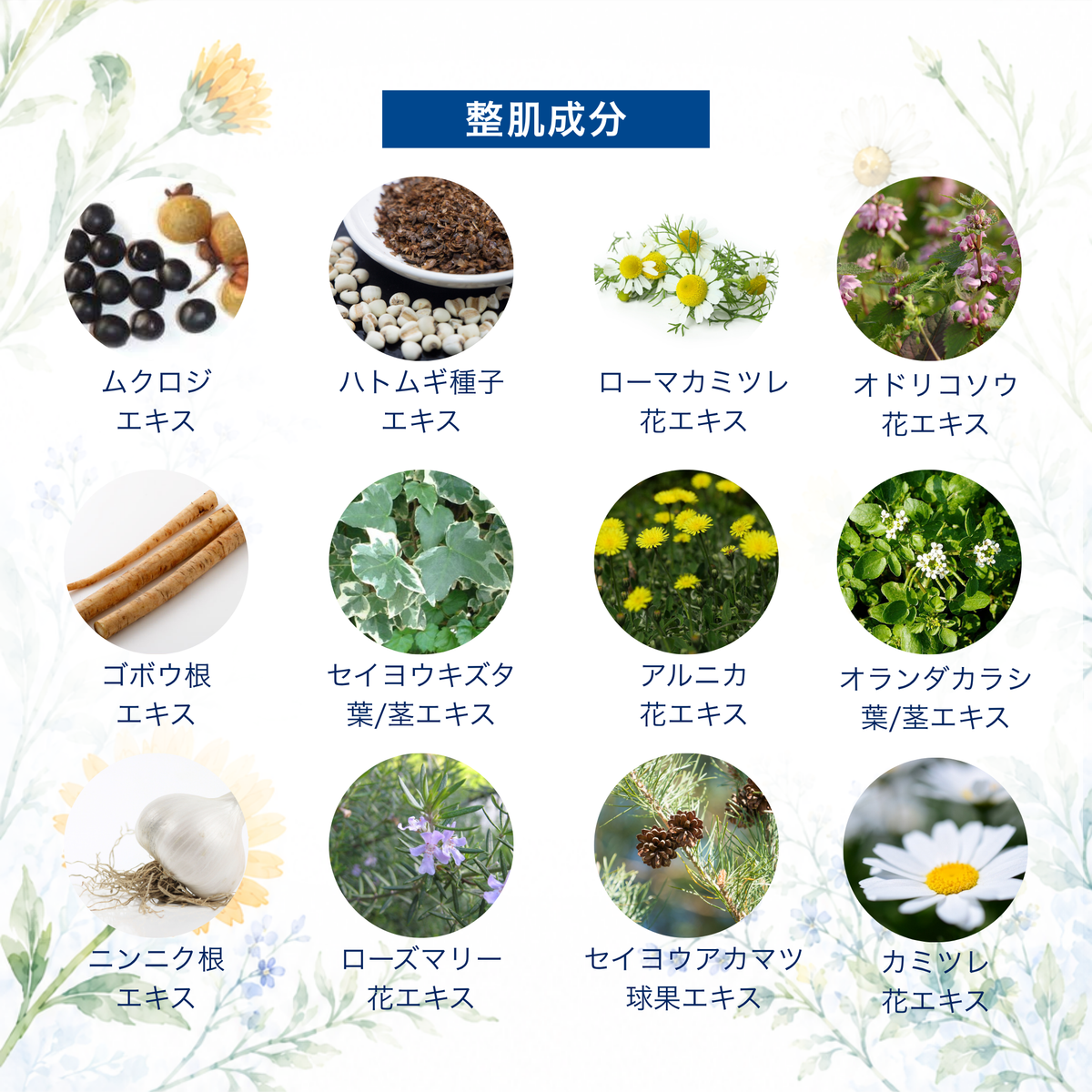【トライアルサイズ】クレンジングゲル（送料無料）